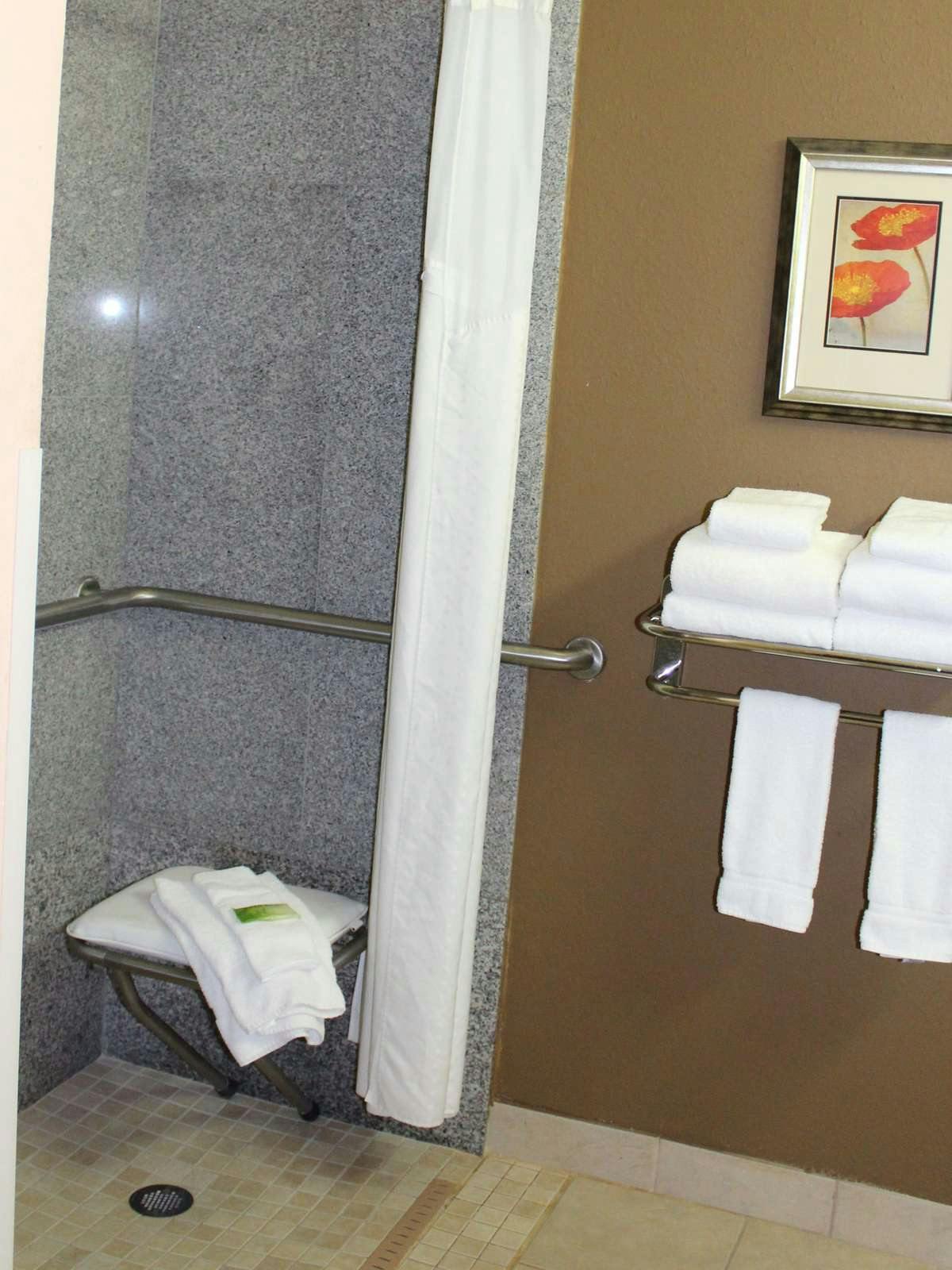 Hotel Holiday Inn Express Hotel & Suites Lavonia photo 3