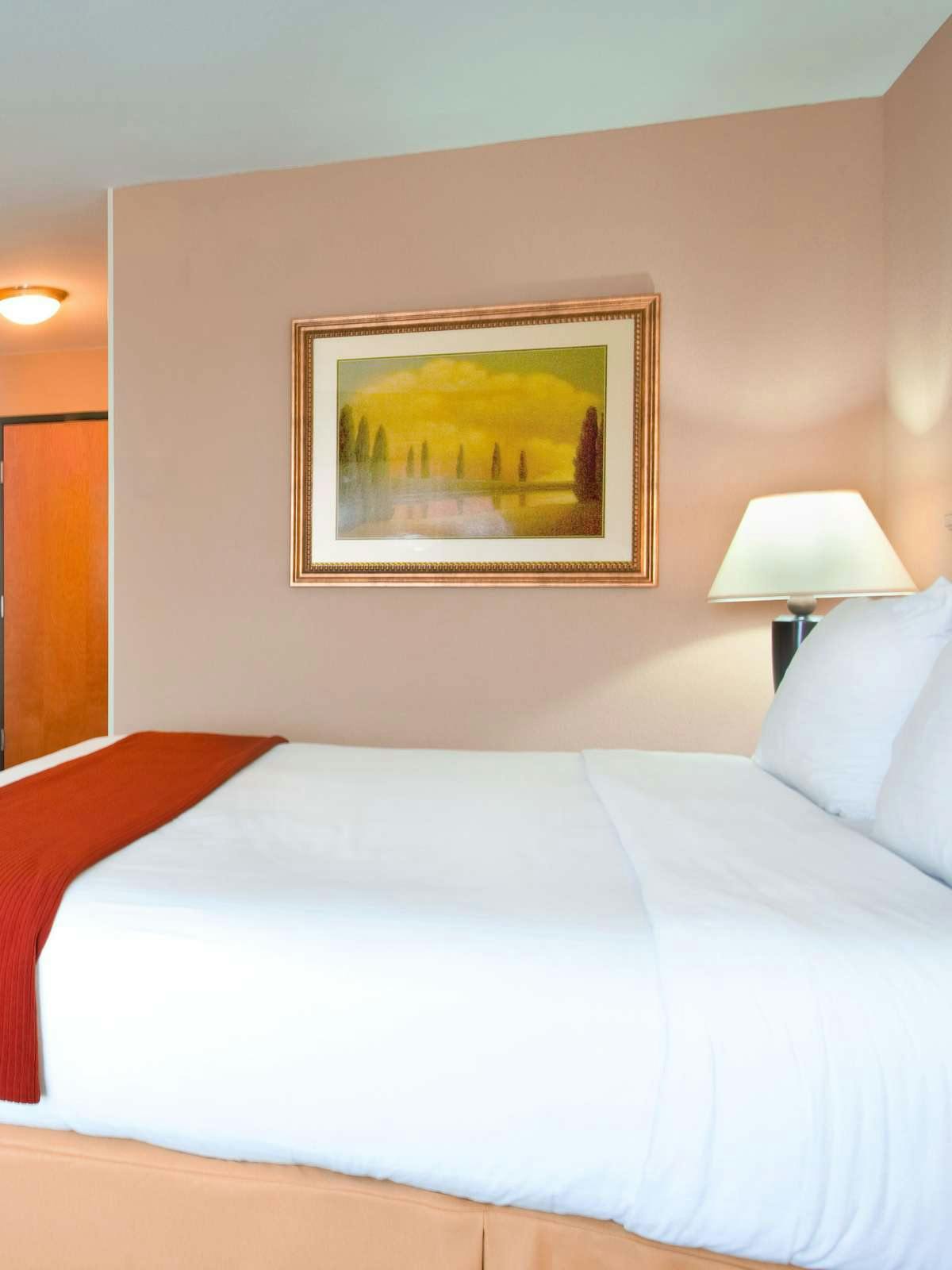 Hotel Holiday Inn Express Hotel & Suites Lake Zurich Barrington photo 1