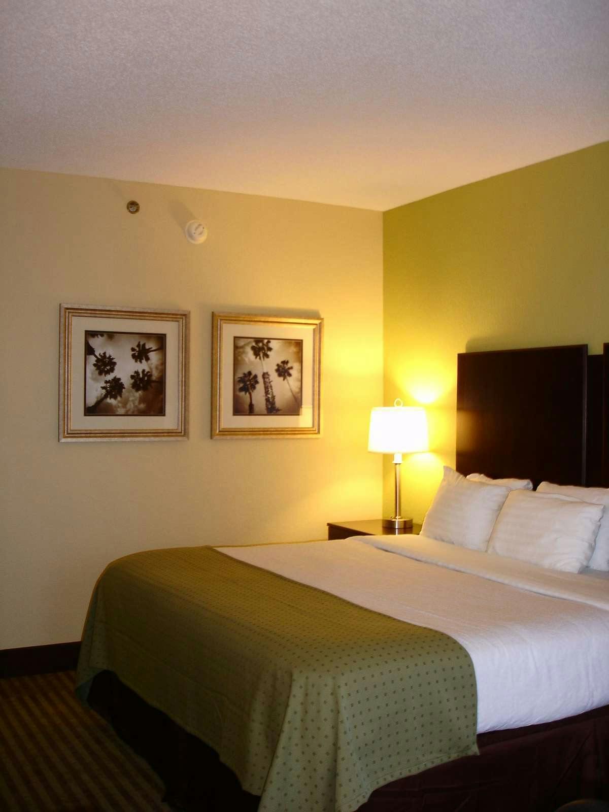 Hotel Holiday Inn Express Hotel & Suites Little River photo 1