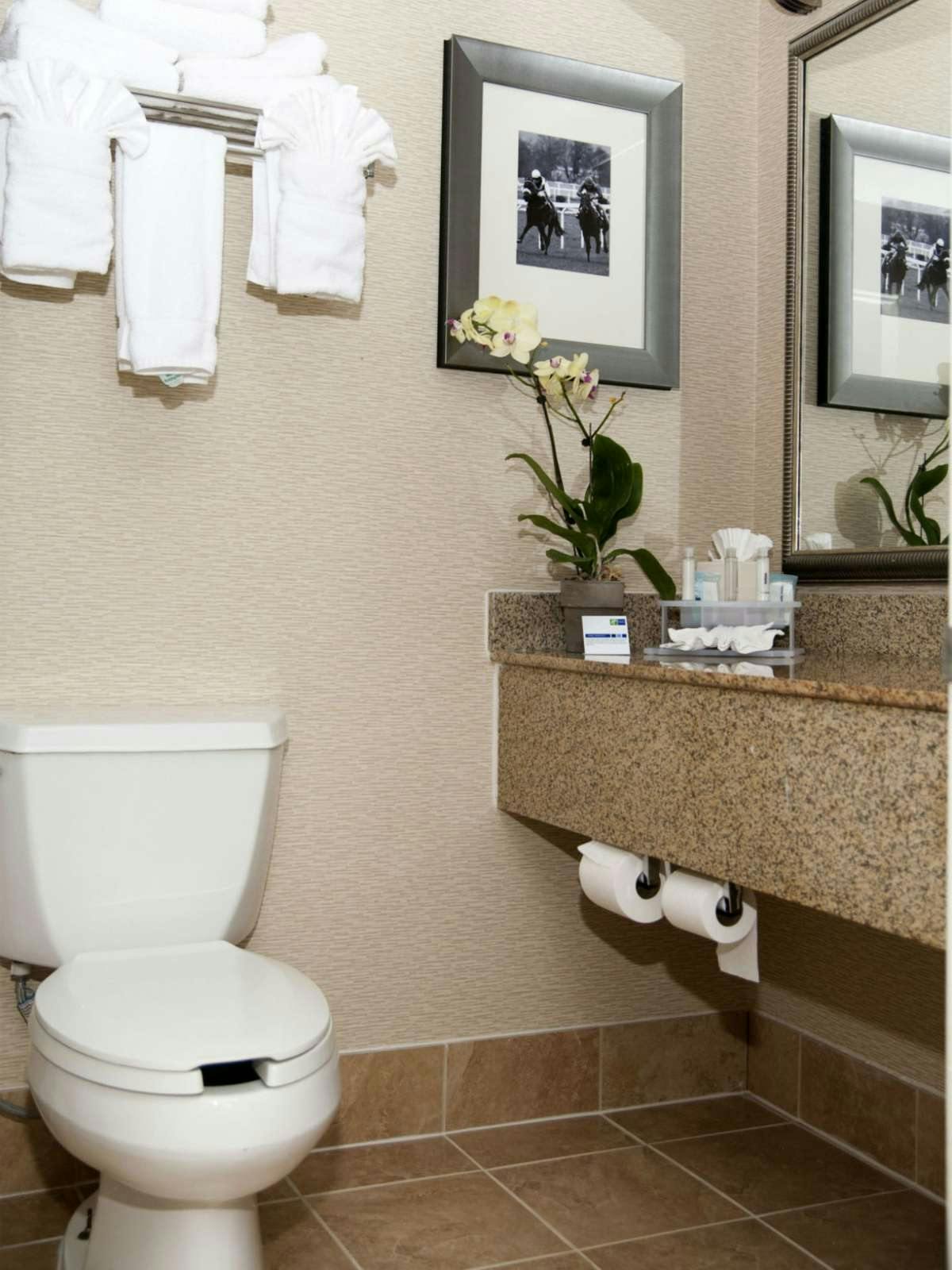 Hotel Holiday Inn Express & Suites Laurel photo 2