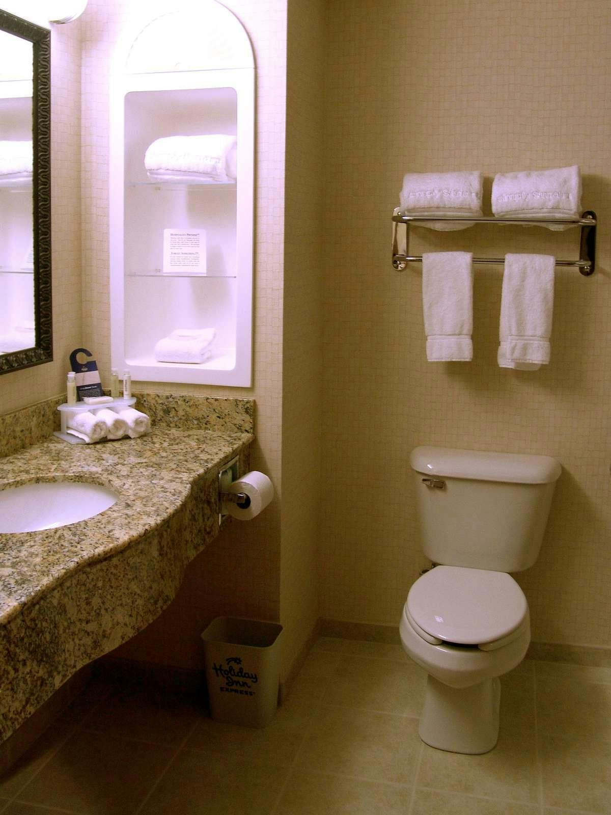 Hotel Holiday Inn Express Hotel & Suites Rochester photo 3
