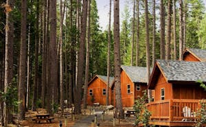 Evergreen Lodge at Yosemite