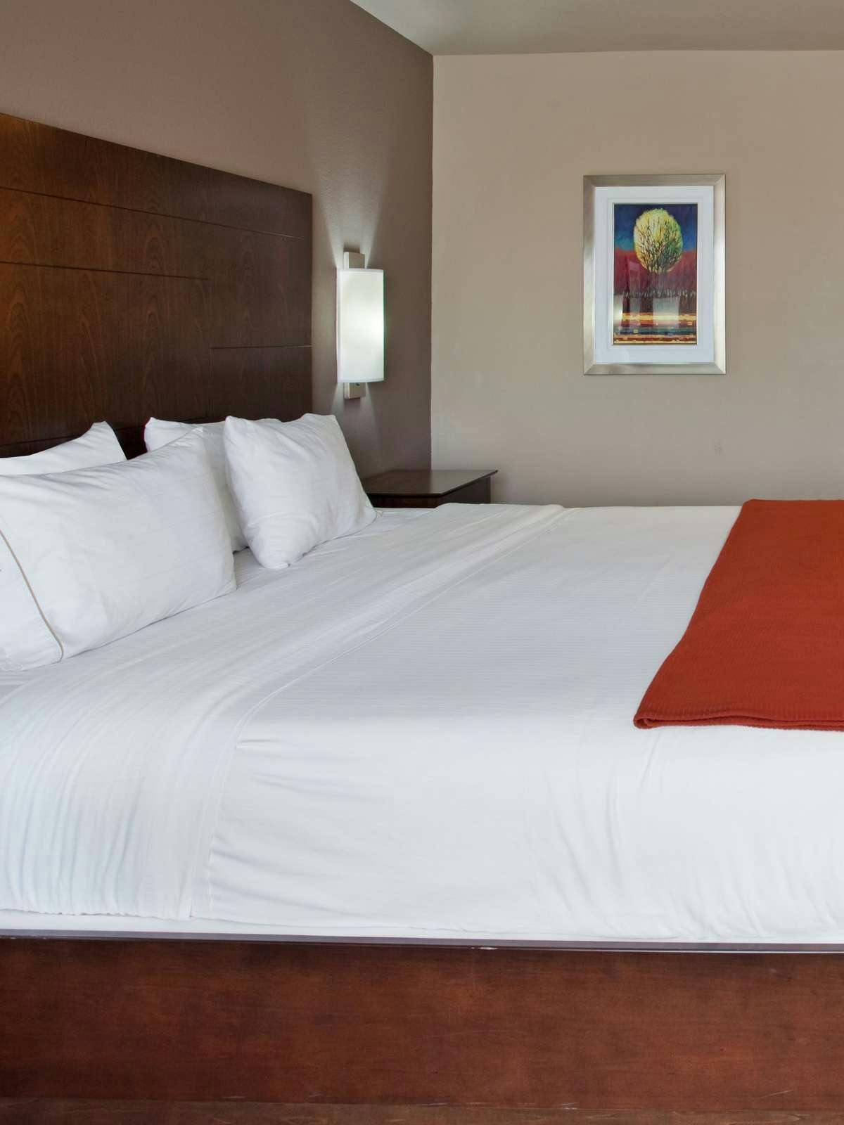 Hotel Holiday Inn Express Hotel & Suites Saint Robert Leonard Wood photo 1