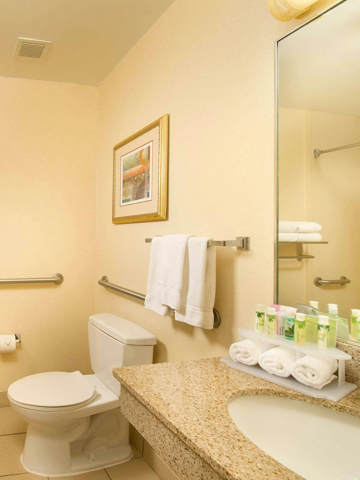 Hotel Holiday Inn Express Hotel & Suites San Antonio West photo 3