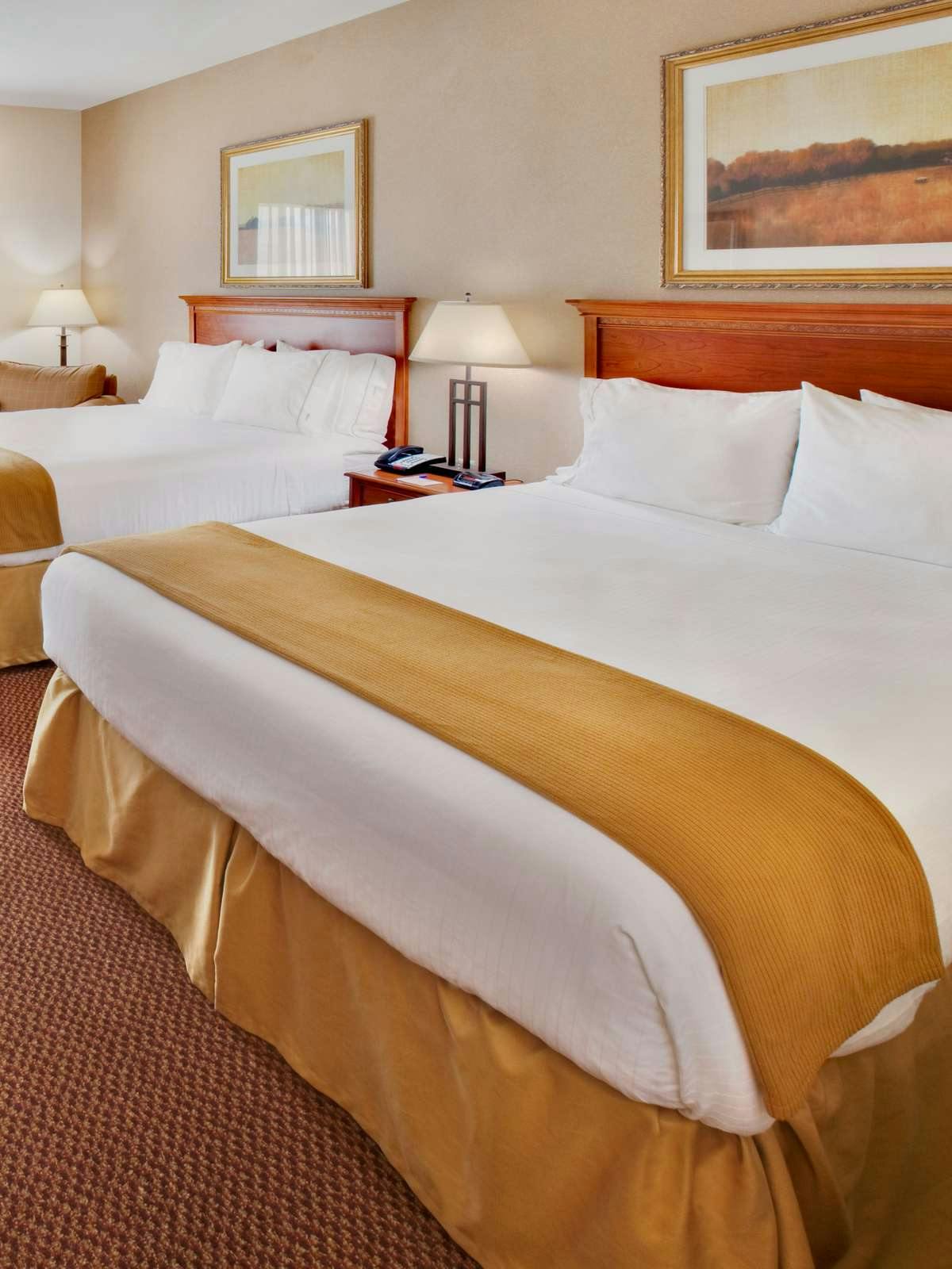 Hotel Holiday Inn Express Hotel & Suites Sheldon photo 1