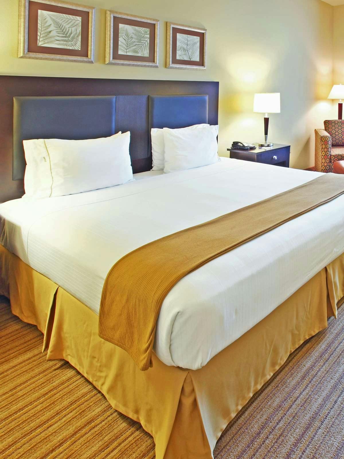 Hotel Holiday Inn Express Hotel & Suites Shreveport West photo 1