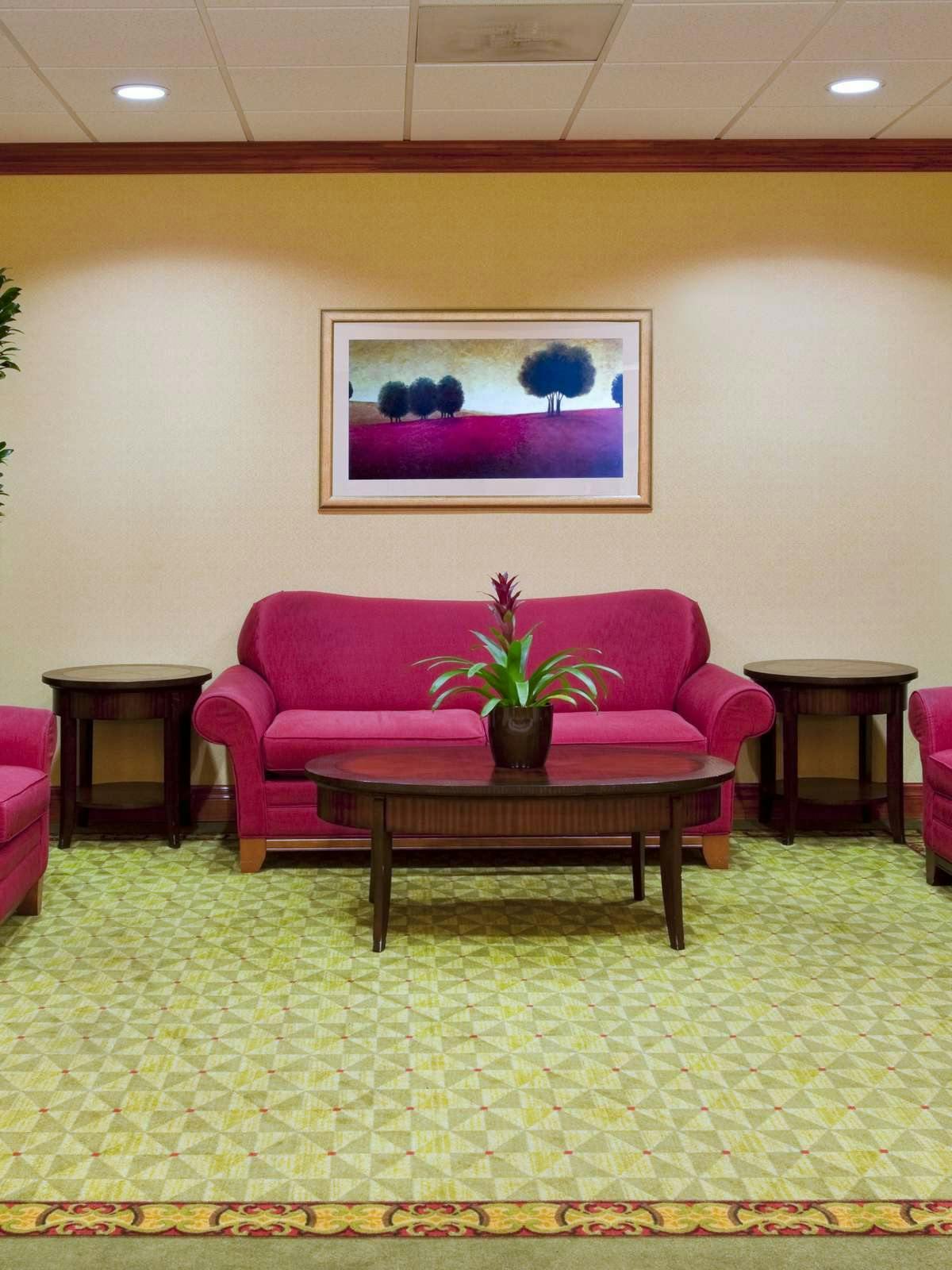 Hotel Holiday Inn Express St Petersburg North photo 5