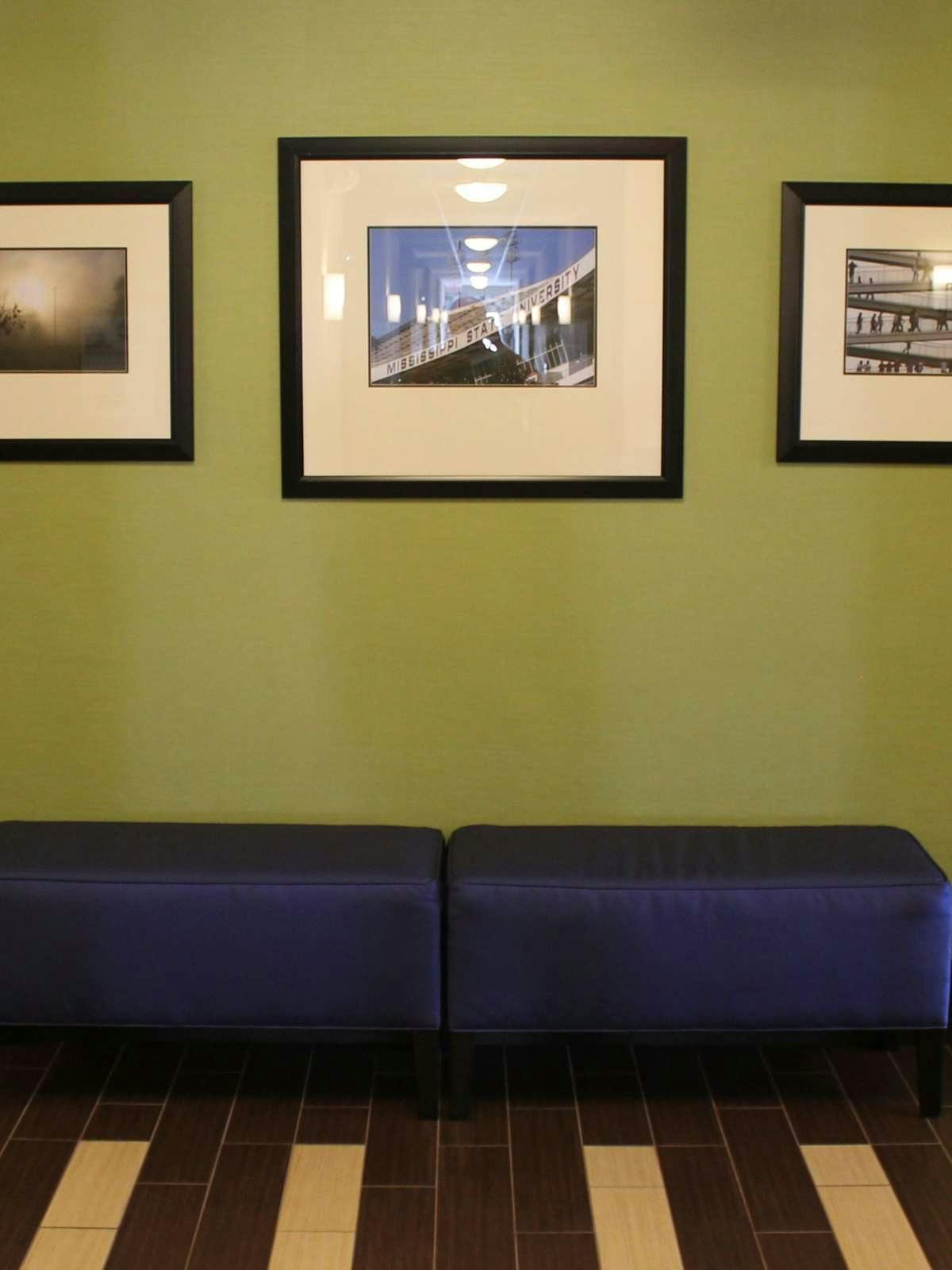 Hotel Holiday Inn Express Hotel & Suites Starkville photo 4