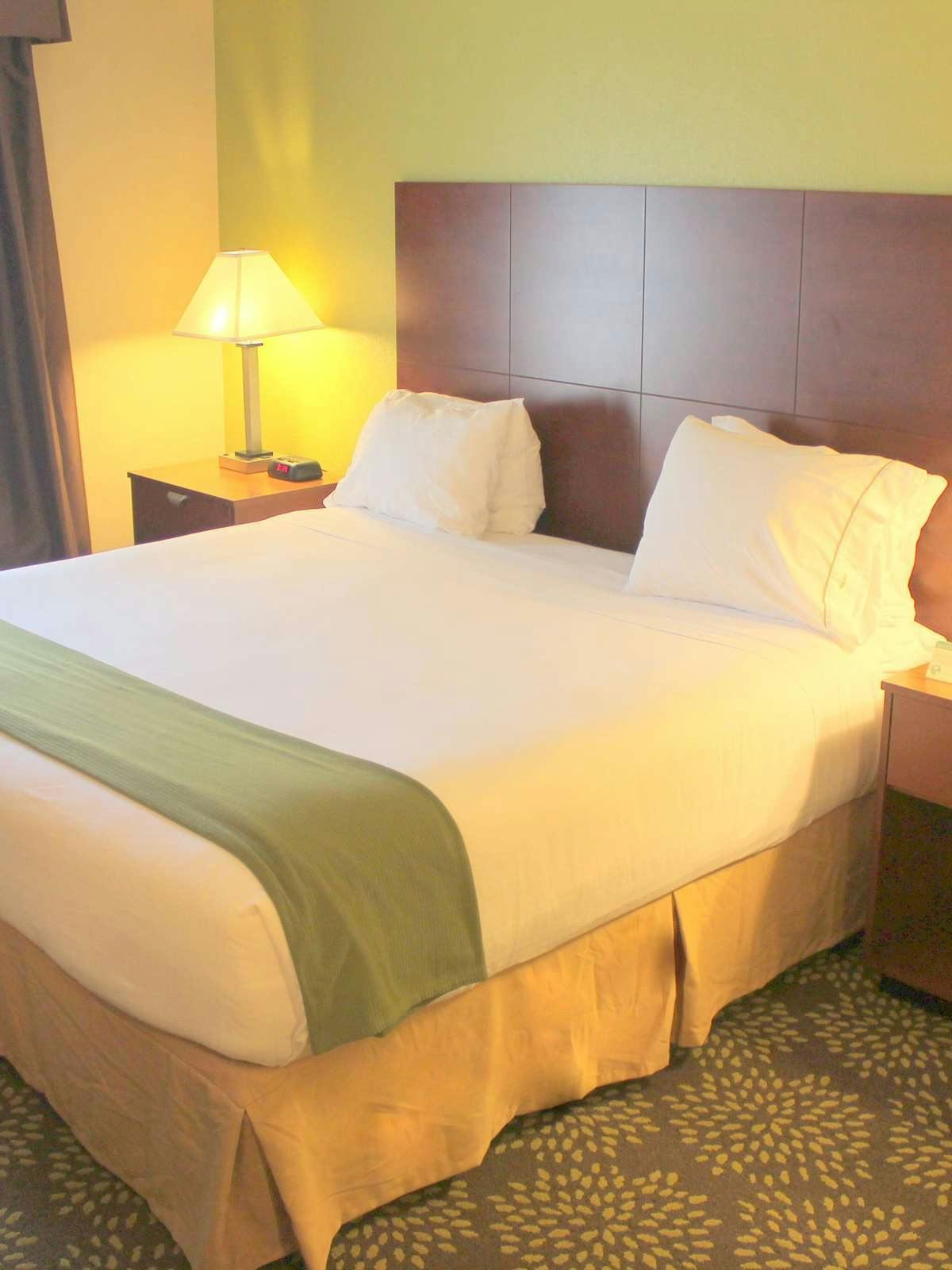 Hotel Holiday Inn Express Hotel & Suites Starkville photo 1