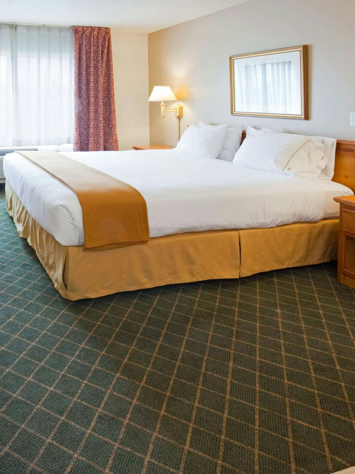 Hotel Holiday Inn Express Hotel & Suites Yankton photo 1