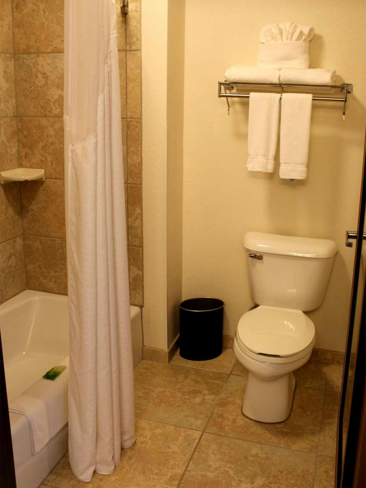 Hotel Holiday Inn Express Houghton photo 2