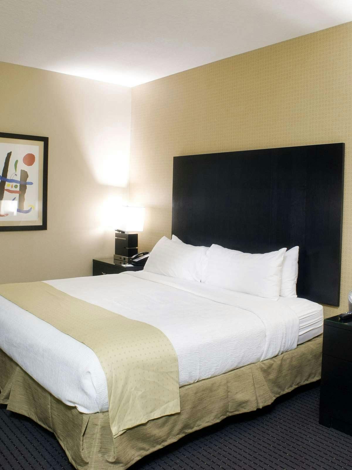 Hotel Holiday Inn Hotel & Suites Lake Elmo photo 1