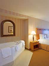 Hotel Holiday Inn Hotel & Suites Lakeville photo 3