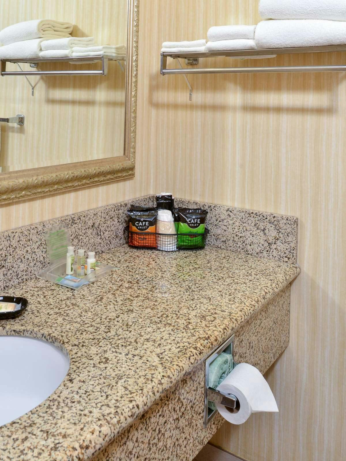 Hotel Holiday Inn Great Falls photo 3