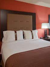 Hotel Holiday Inn Pensacola photo 1