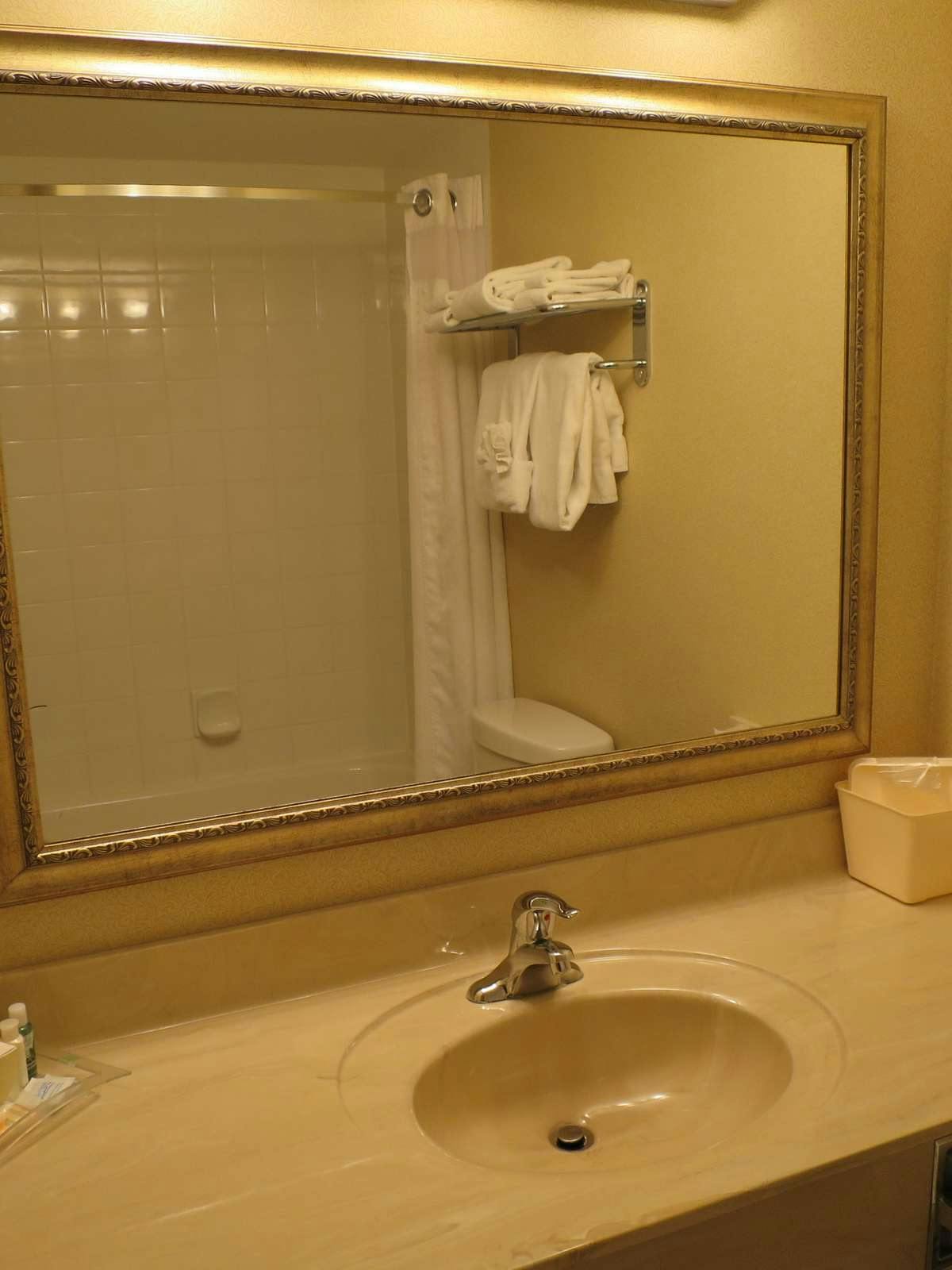 Hotel Holiday Inn Hotel & Suites Regina photo 2