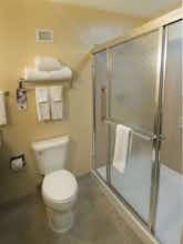 Hotel Holiday Inn Kansas City Airport photo 3