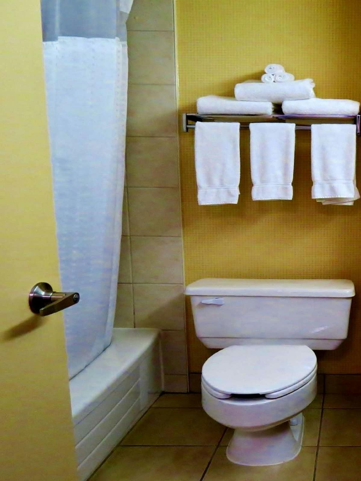 Hotel Holiday Inn Kingston Waterfront photo 3