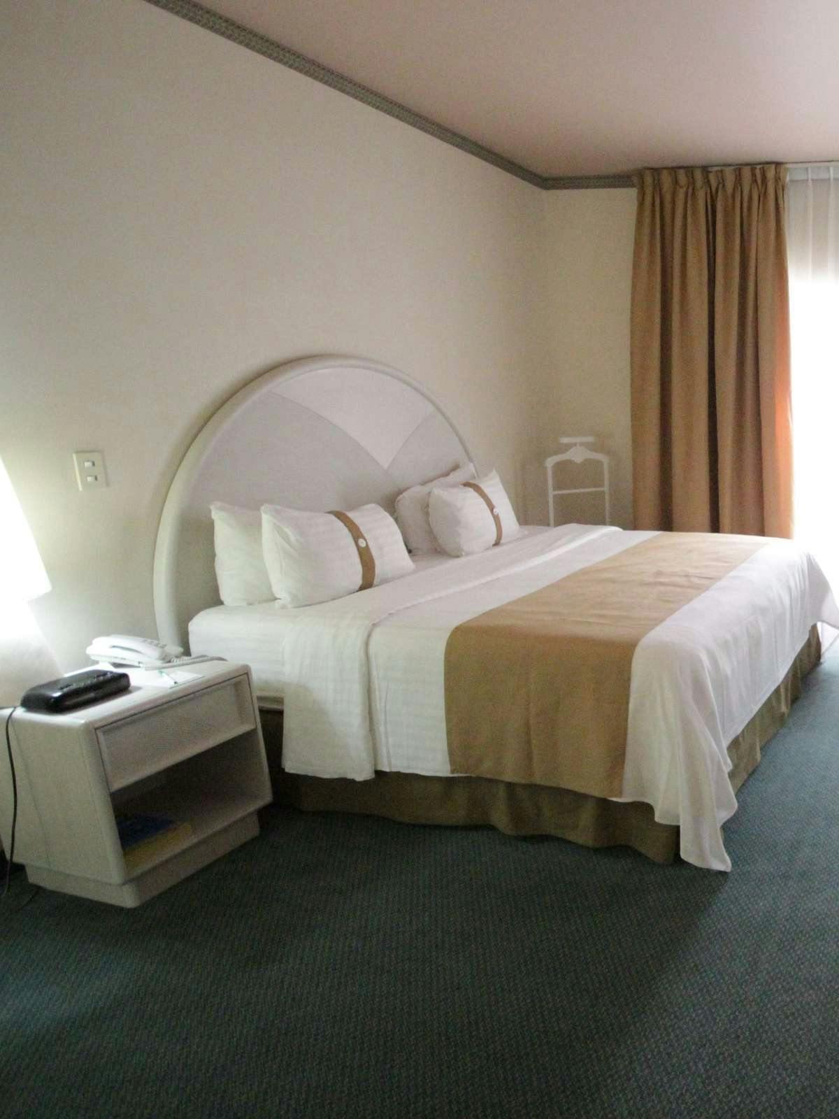 Hotel Holiday Inn Leon photo 1