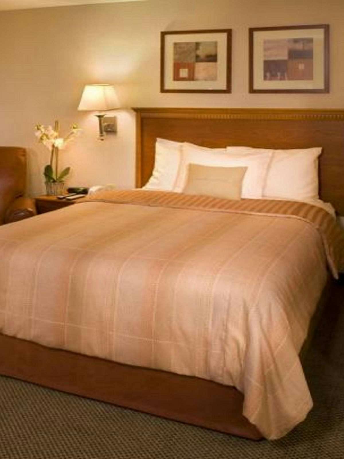 Hotel Candlewood Suites Tuscaloosa photo 1