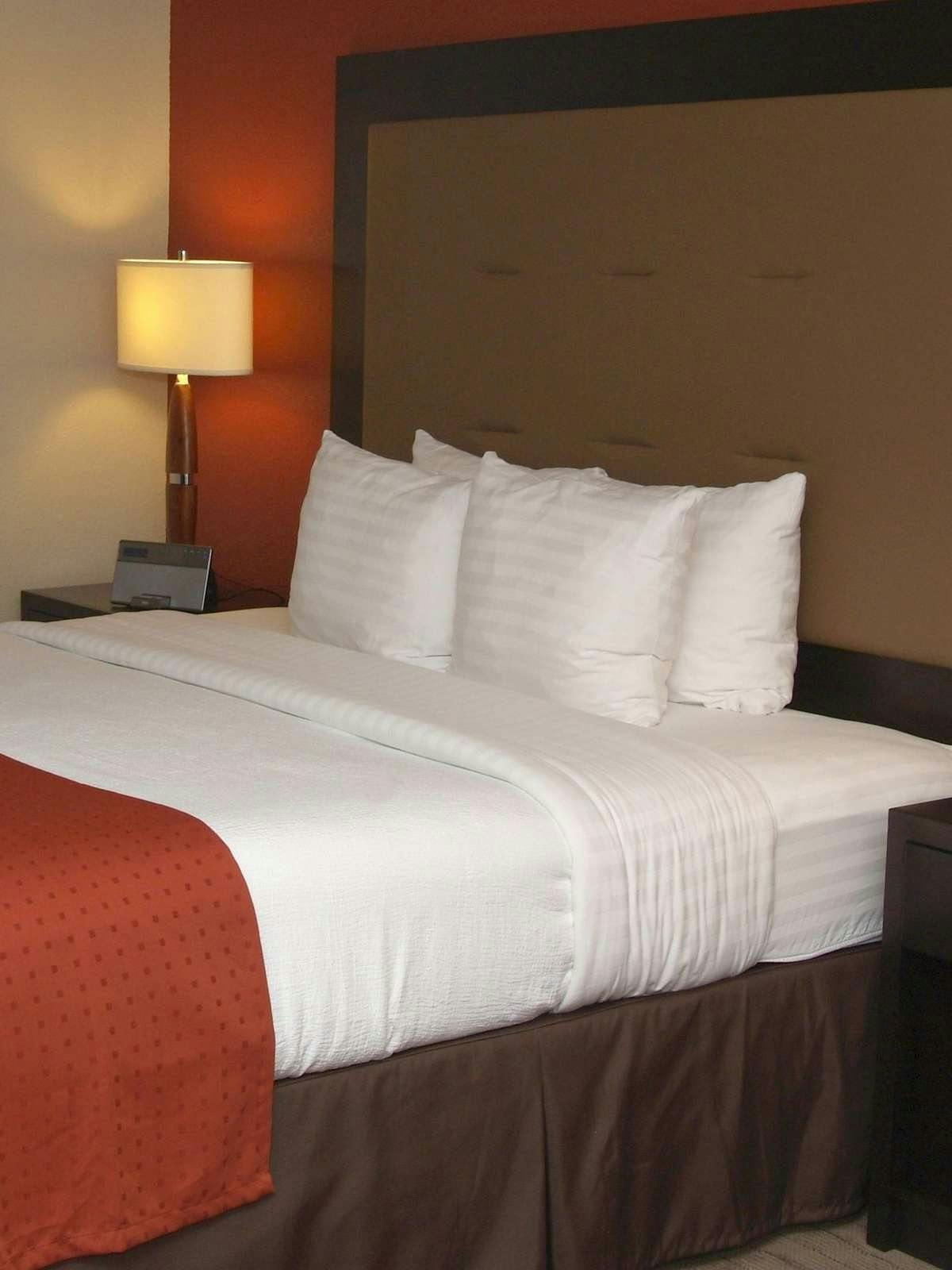 Hotel Holiday Inn Baton Rouge South photo 1