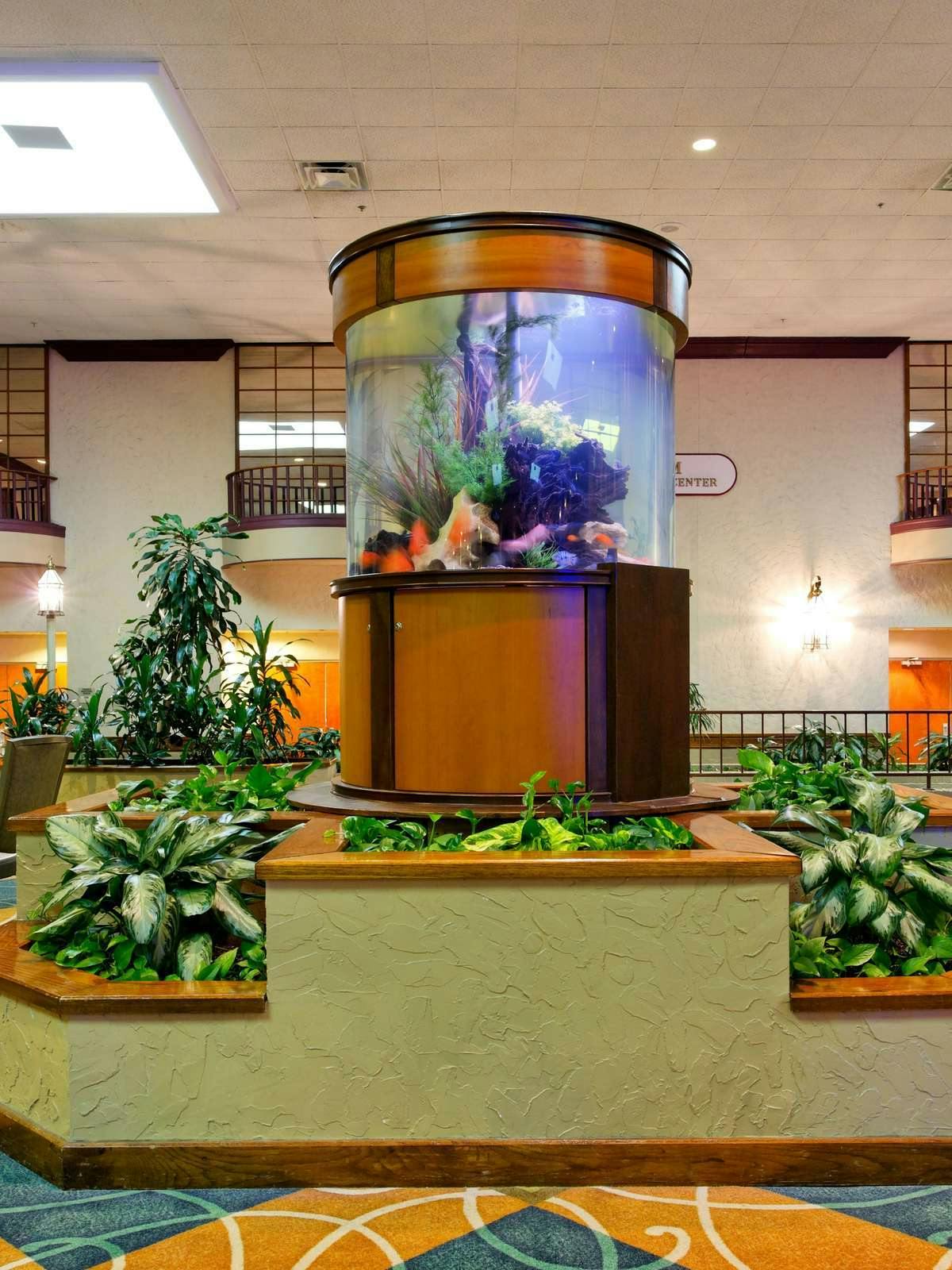 Hotel Holiday Inn Corpus Christi Airport & Conference Center photo 3