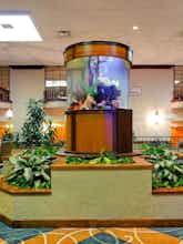 Hotel Holiday Inn Corpus Christi Airport & Conference Center photo 3