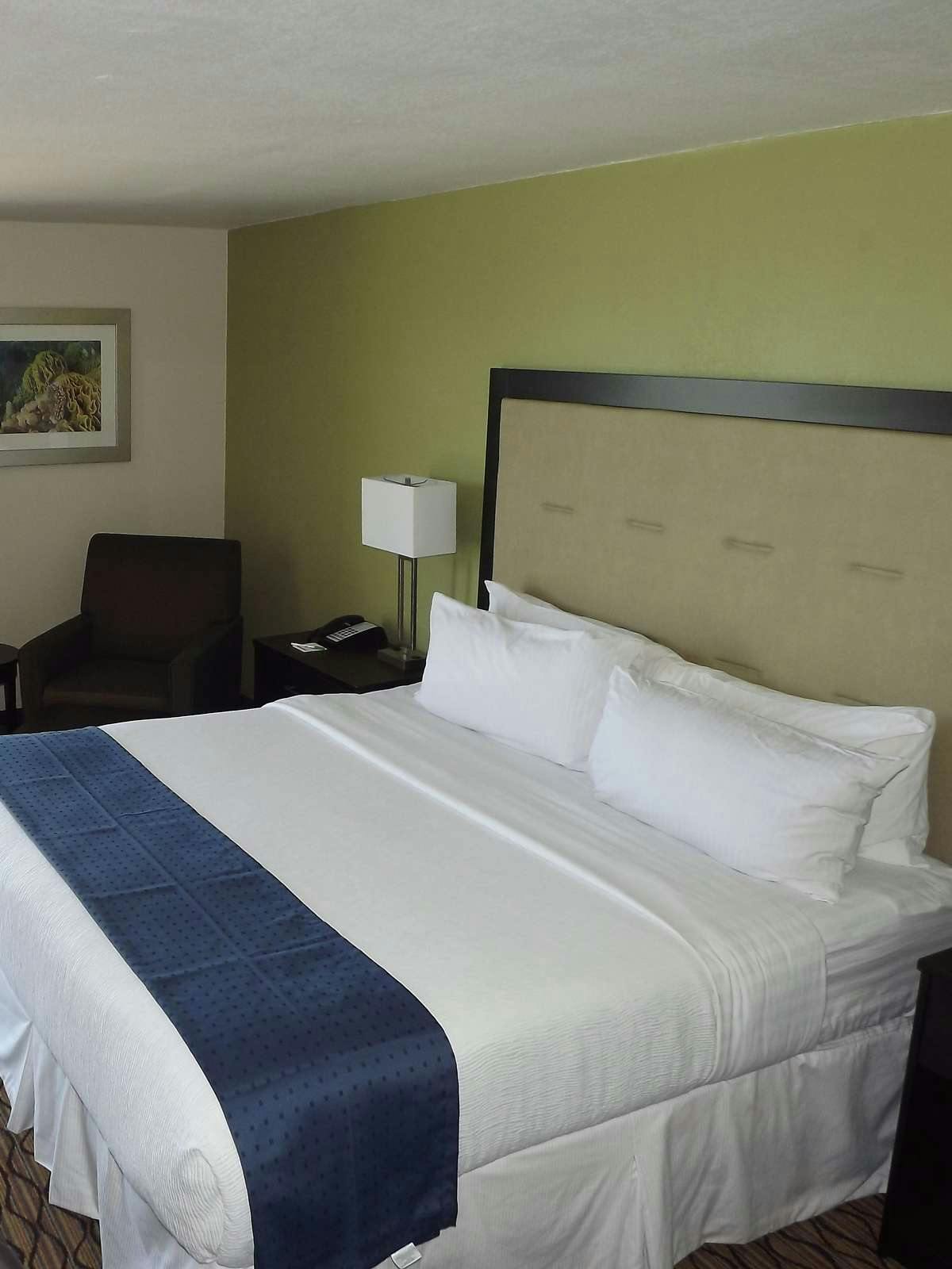 Hotel Holiday Inn Corpus Christi Downtown Marina photo 1