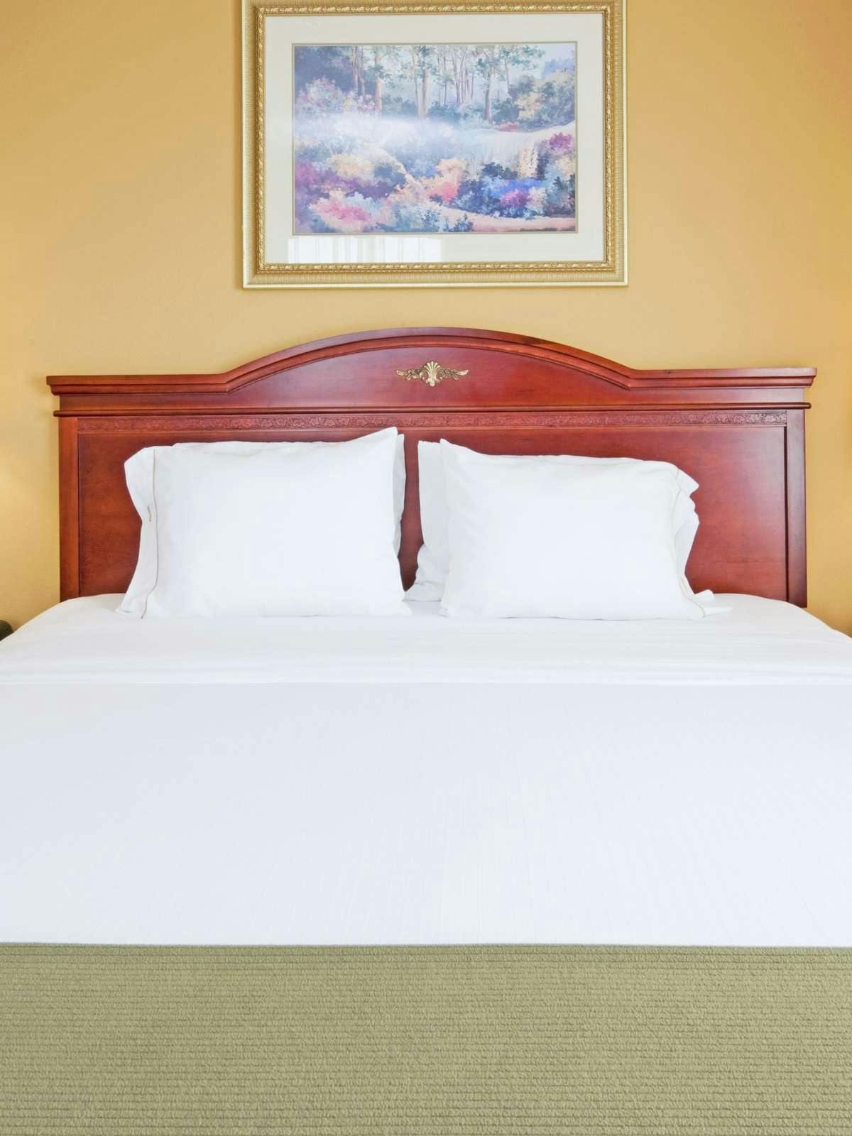 Hotel Holiday Inn Express Hotel & Suites Duncanville photo 1