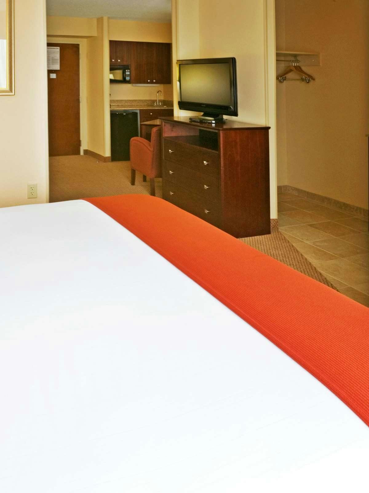 Hotel Holiday Inn Express Hotel & Suites Irving Convention Center photo 3