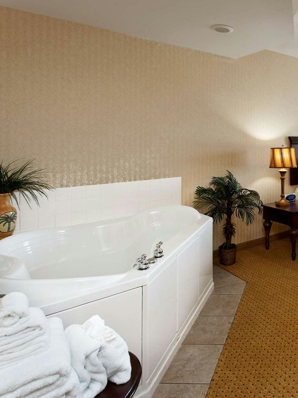 Hotel Holiday Inn Express Hotel & Suites Kingsport photo 2