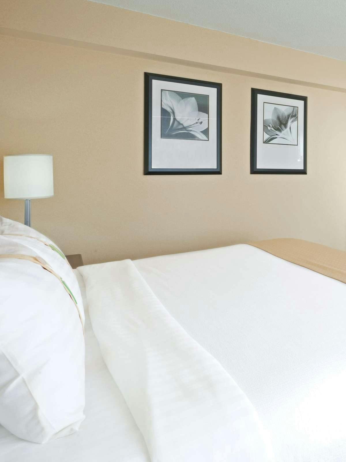 Hotel Holiday Inn East Windsor photo 2