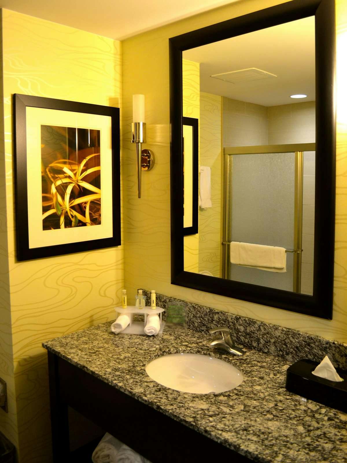 Hotel Holiday Inn Express Hotel & Suites Charleston Airport photo 3
