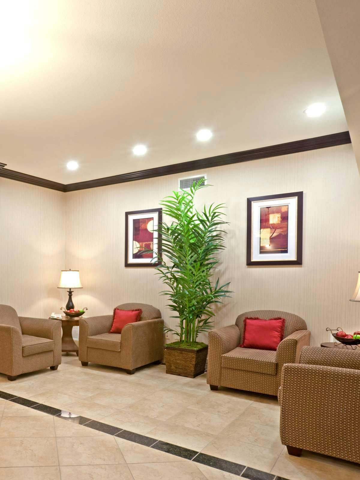 Hotel Holiday Inn Express Hotel & Suites Cedar Hill photo 3