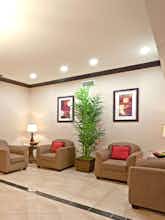 Hotel Holiday Inn Express Hotel & Suites Cedar Hill photo 3