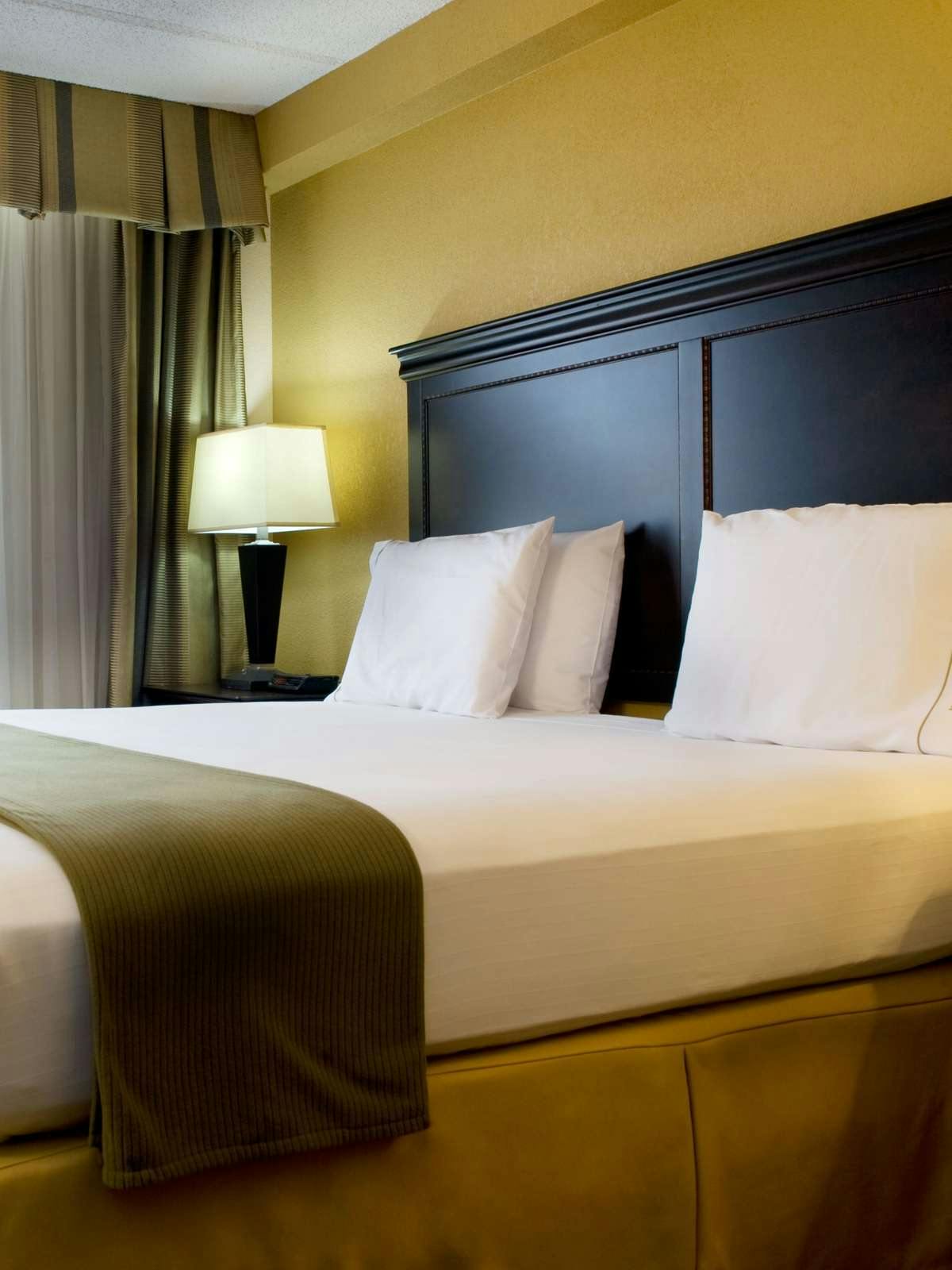 Hotel Holiday Inn Express Hotel & Suites Dallas Fort Worth Airport South photo 1