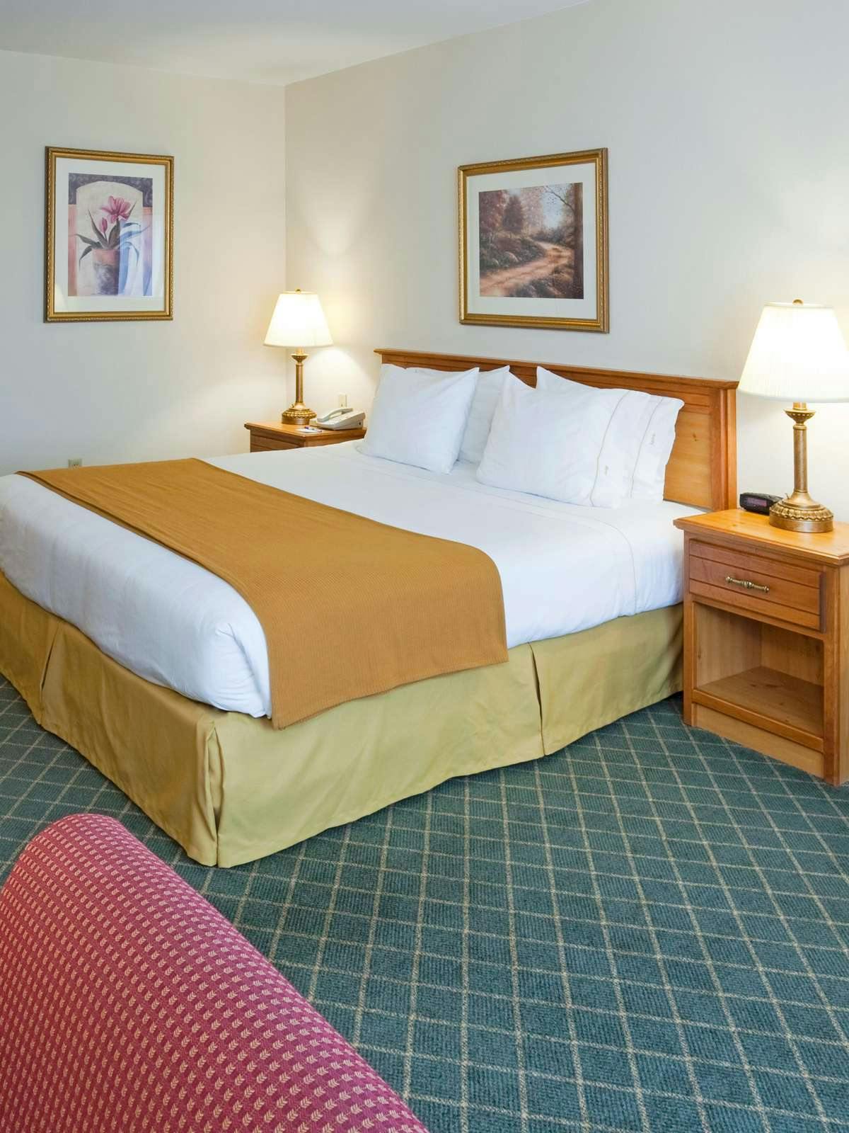 Hotel Holiday Inn Express Hotel & Suites Chanhassen photo 1