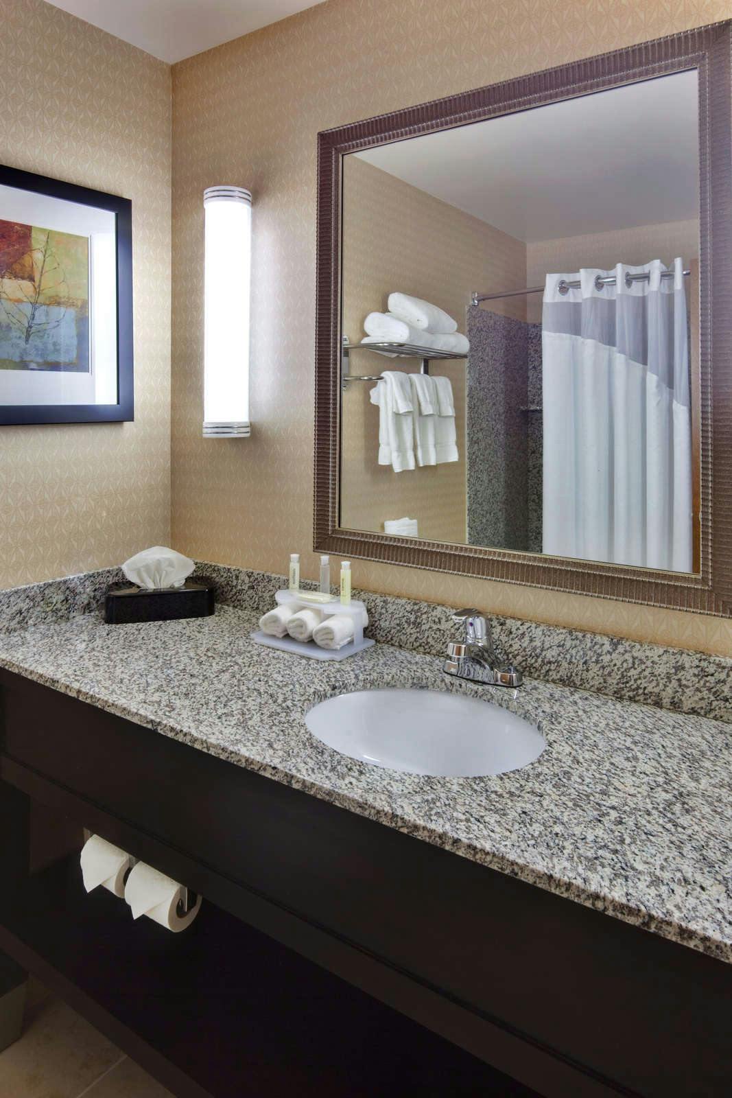 Hotel Holiday Inn Express Hotel & Suites Novi photo 3