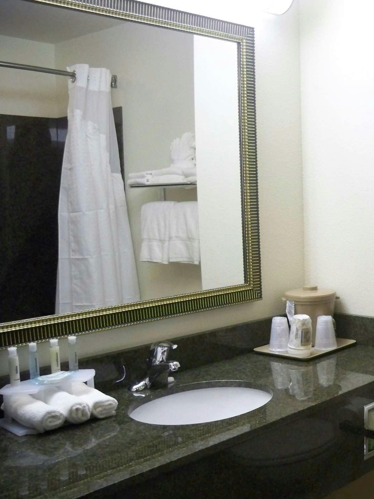 Hotel Holiday Inn Express Hotel & Suites Omaha I-80 photo 3