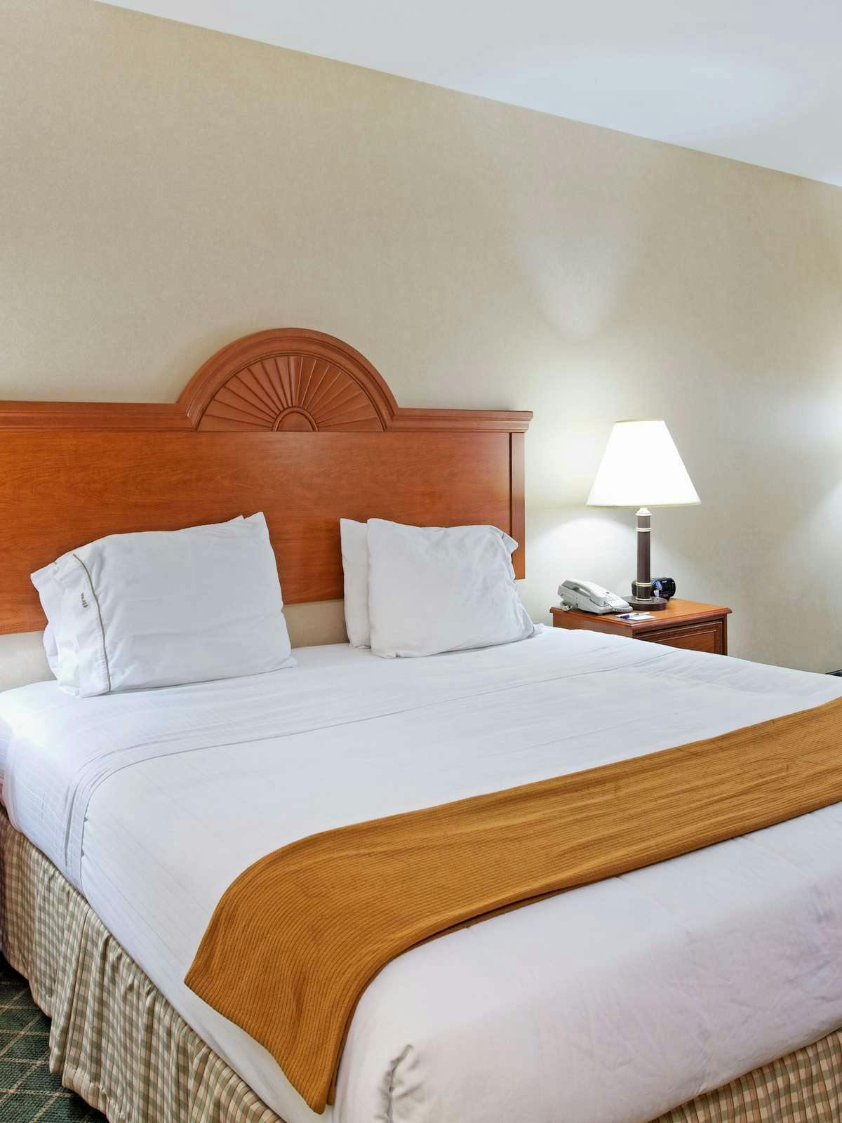 Hotel Holiday Inn Express Hotel & Suites Sylacauga photo 1