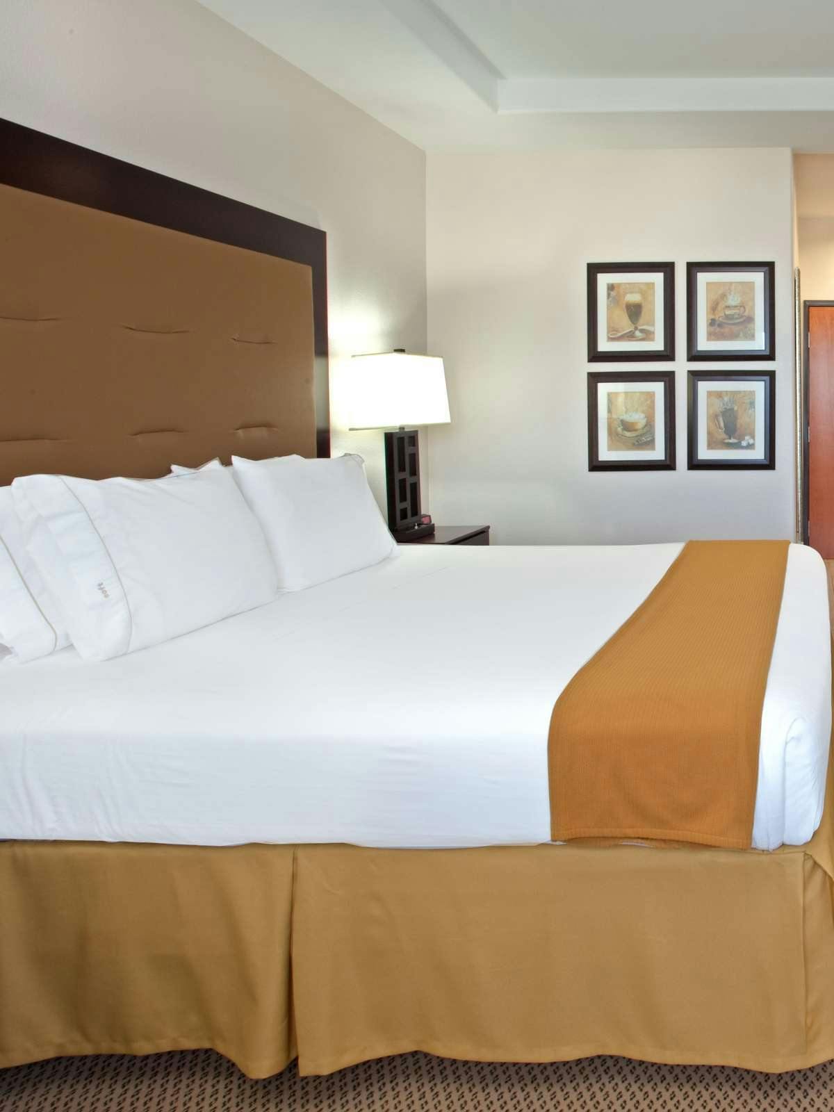Hotel Holiday Inn Express Hotel & Suites Texas City photo 1
