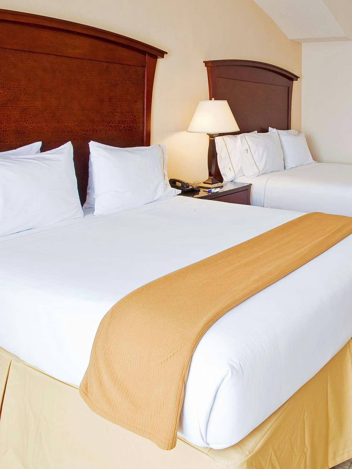 Hotel Holiday Inn Express Hotel & Suites Seguin photo 1