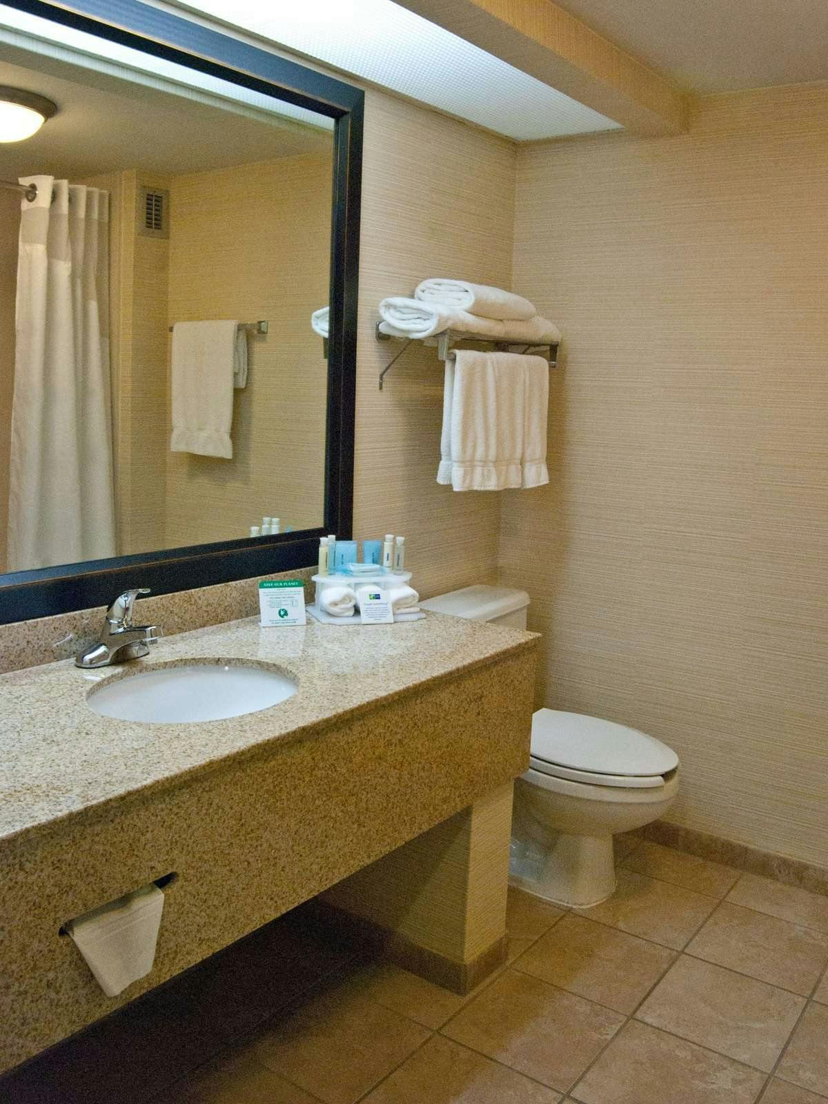 Hotel Holiday Inn Express Hotel & Suites University Center photo 2