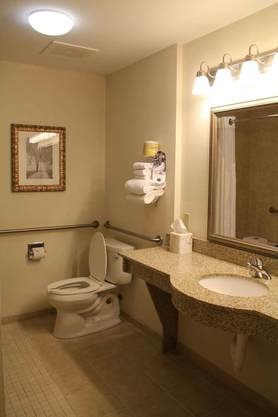 Hotel Holiday Inn Express Hotel & Suites Baton Rouge East photo 2