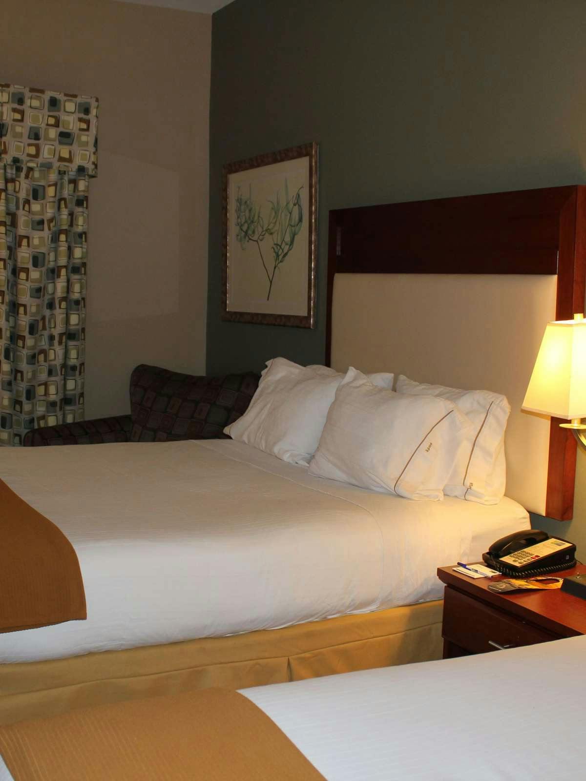 Hotel Holiday Inn Express Hotel & Suites Baton Rouge East photo 1