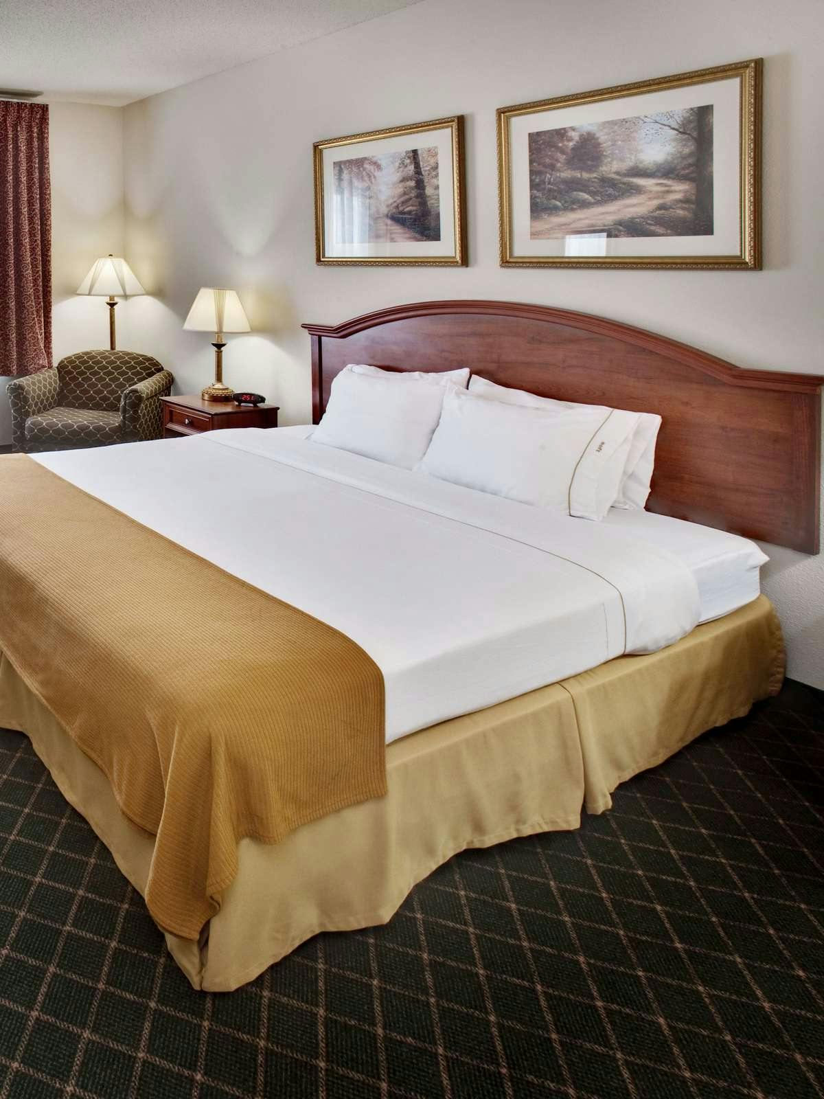 Hotel Holiday Inn Express Hotel & Suites Bellevue photo 1