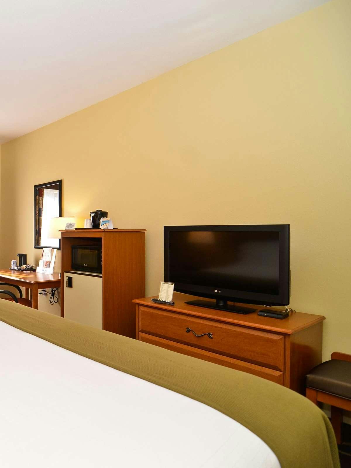 Hotel Holiday Inn Express Stone Mountain photo 3