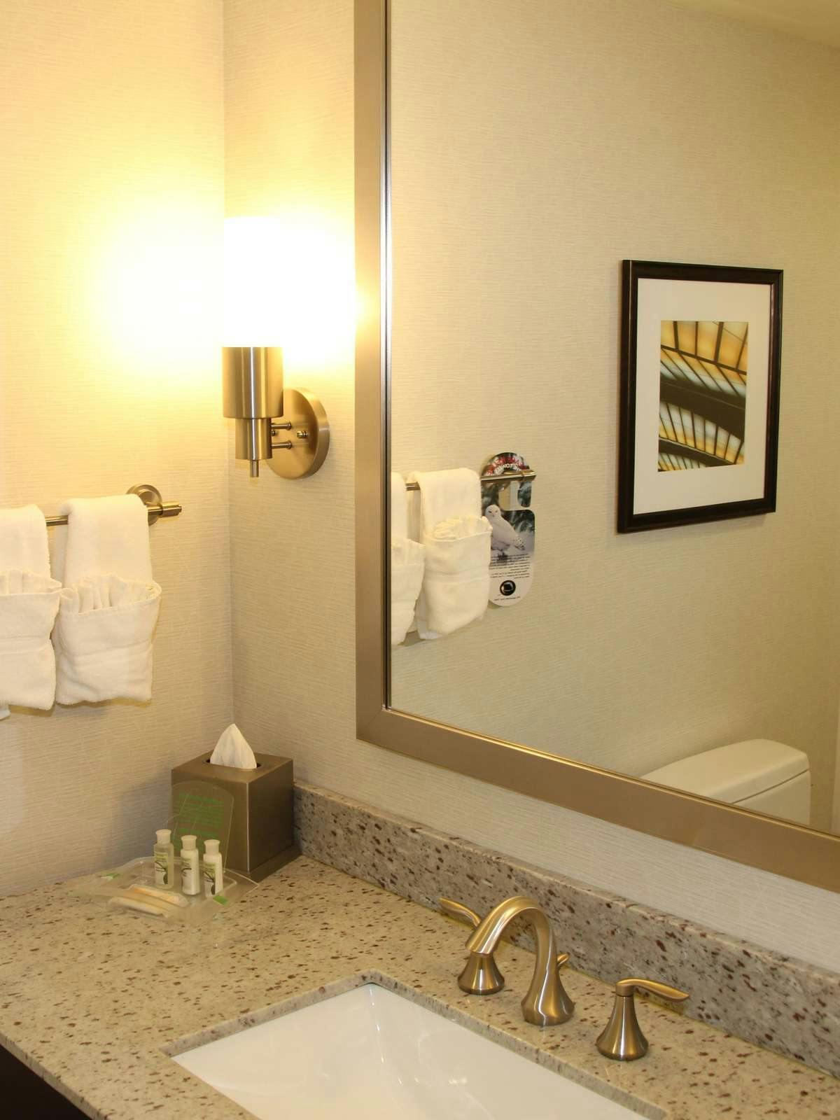 Hotel Holiday Inn Hotel & Suites East Peoria photo 3