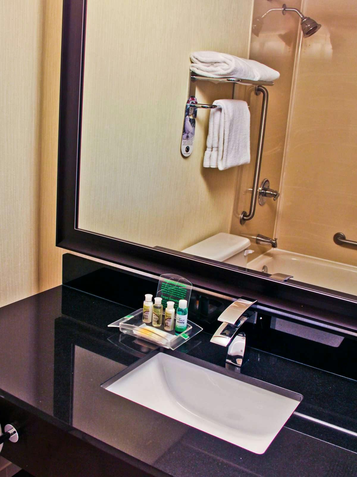 Hotel Holiday Inn Hotel & Suites Winnipeg Downtown photo 3