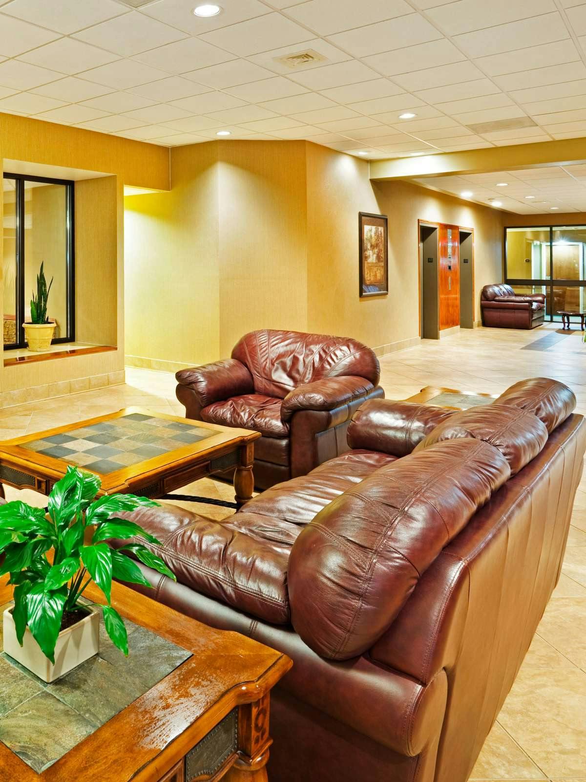 Hotel Holiday Inn Johnson City photo 2